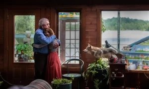 wolf&lion (5)