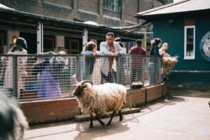 thisTimeNextYear_stills (39)