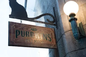 nineLives_stills (47)