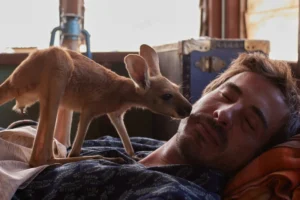 Kangaroo_stills (24)