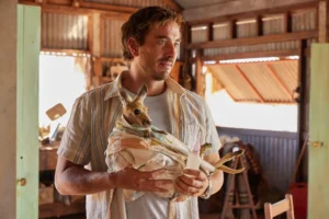 Kangaroo_stills (29)